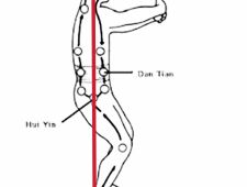 Dvigniti anus in potegniti rep navznoter